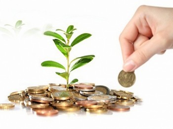 Săn cổ tức "béo" cuối năm san co tuc beo cuoi nam