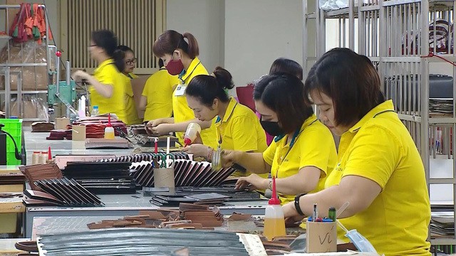 Chiến lược xây tổ để có "đại bàng" Quốc tịch Việt Nam chien luoc xay to de co dai bang quoc tich viet nam