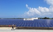 Công ty năng lượng Thái Lan có thể đầu tư tới 457 triệu USD vào 4 dự án điện mặt trời tại Bình Phước