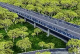 Việt Nam đang xây dựng tuyến đường xuyên rừng nguyên sinh dài 13km, kết nối cầu Mã Đà với Vành đai 4 TP.HCM, lần đầu tiên áp dụng một công nghệ đặc biệt