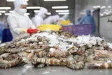 Công ty thủy sản đầu tiên mở màn kết quả quý II: Doanh số 6 tháng giảm gần 21%