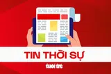 Đà Nẵng xử phạt công ty chăn nuôi 625 triệu đồng do vi phạm môi trường