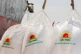 Lộc Trời giải trình gì về việc cổ phiếu bị đình chỉ giao dịch?