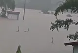 Có thật 'quái vật hồ Loch Ness' xuất hiện trong lũ ở Trung Quốc?