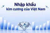 PNJ mua kim cương từ Hong Kong và Thái Lan: Cục Hải quan hé lộ quy mô nhập khẩu kim cương của Việt Nam