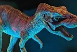 Khủng long bạo chúa T. rex đẻ nhiều như gà, con non mới nở bé như con mèo