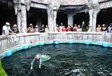 Quy hoạch đảo Trí Nguyên, Hòn Tằm ở Nha Trang: Tập trung phát triển du lịch biển đảo