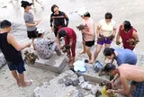 Dù có biển cấm, du khách vẫn bẻ san hô ở biển Hòn Chồng mang về