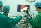 Bác sĩ Việt gắp 2 con giun đũa dài hơn 30cm chui vào đường mật bệnh nhi người Lào