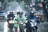 Thành phố có trí nhớ và tôi là một chi tiết nhỏ