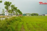 Đấu giá đất nông thôn ở Hà Tĩnh: Vì sao giá khởi điểm lên tới hơn 5,3 tỷ đồng?