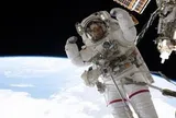 Phát hiện các gene lưu 'dấu vết' của du hành vũ trụ