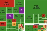 Lực bắt đáy tăng mạnh, VN-Index tăng hơn 11 điểm dù khối ngoại bán ròng