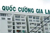 Quốc Cường Gia Lai 'trắng' doanh thu bất động sản nhưng lãi tăng vọt