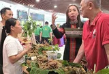 Sâm Ngọc Linh xuống phố, tìm đường đi xa
