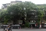 Hà Nội tính xây tòa nhà 21 tầng thay thế chung cư gần 40 năm tuổi có 3 mặt tiền tại “đất vàng” Hoàn Kiếm