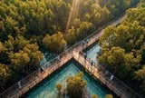 Ông Phạm Nhật Vượng xây công viên câu cá rừng ngập mặn 800 ha rộng gấp 4 lần ở Singapore
