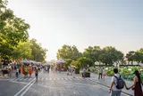 Hà Nội thông xe Vành đai 1 Hoàng Cầu - Voi Phục, khởi công tuyến ven hồ Tây