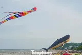 Xuất hiện 'con vật khổng lồ' trên bãi biển Sầm Sơn