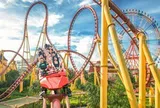 Ông Phạm Nhật Vượng sắp xây 2 VinWonders rộng gấp 4 lần Disneyland Park tại Paris