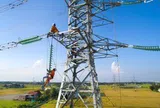 Tổng công ty Điện lực miền Nam cảnh báo khẩn