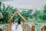 Tiệm cà phê hot nhất Đồi Tà Pạ (An Giang) bị xử phạt, yêu cầu tháo dỡ: Hơn 900m² đất rừng phòng hộ bị sử dụng sai mục đích