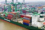 Viconship muốn vay 2.200 tỷ đồng từ các công ty con