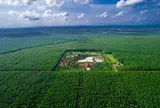 Giá cao su sát đỉnh 13 năm, một 'ông lớn' Việt Nam lại chuyển đất trồng thành khu công nghiệp