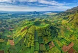 Việt Nam sở hữu ngọn núi lửa có tuổi đời hàng triệu năm, nằm ẩn mình giữa đại ngàn Tây Nguyên, mùa hoa dã quỳ nhuộm vàng triền núi, được quy hoạch thành khu du lịch