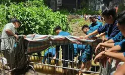 Chủ tịch Hà Nội truy trách nhiệm sau vụ nam sinh ngã xuống cống tử vong