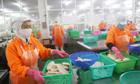 Doanh nghiệp kêu bị 'hành', lãnh đạo Cần Thơ nói gì?