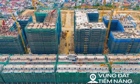 Toàn cảnh dự án xây dựng 10 tòa nhà ở xã hội trị giá 4.900 tỷ, giá chỉ từ 550 triệu, nằm giữa trung tâm Hải Phòng