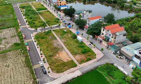 Đấu giá đất ở Thanh Oai (Hà Nội): Khách hàng đồng loạt bỏ cuộc, 22 lô đất đấu giá bất thành