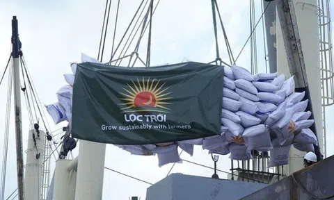 Lộc Trời bổ nhiệm 2 Phó Tổng giám đốc trước thềm ĐHĐCĐ bất thường