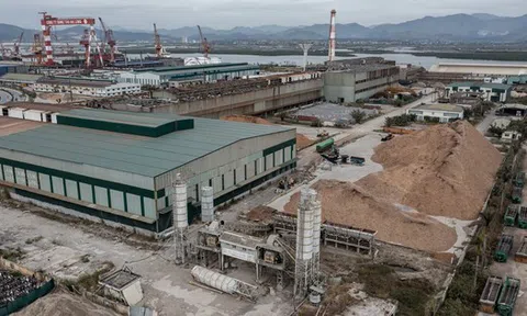 Hoang tàn nhà máy thép hơn 3.000 tỷ từng là 'con đẻ' Vinashin