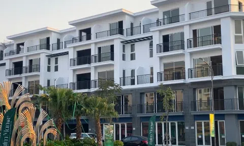 "Không sôi động như giai đoạn 2018-2019, nhưng thị trường bất động sản hiện nay đang có sự khởi động tăng giá rất mạnh"