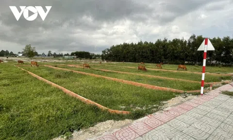 Đấu giá đất ngoại thành: Nơi bỏ cuộc, nơi giá “trên trời”