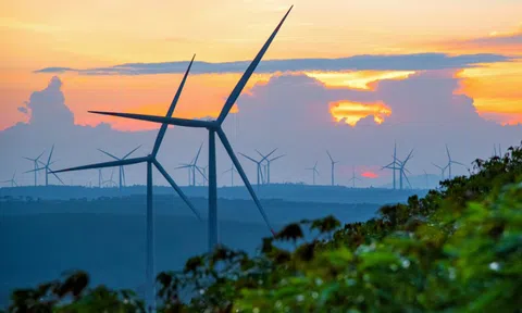 'Ông trùm' năng lượng tái tạo Trung Nam báo lỗ gần 3.000 tỷ đồng, xóa sạch lãi 4 năm trước đó, 'cõng' hơn 65.000 tỷ nợ phải trả