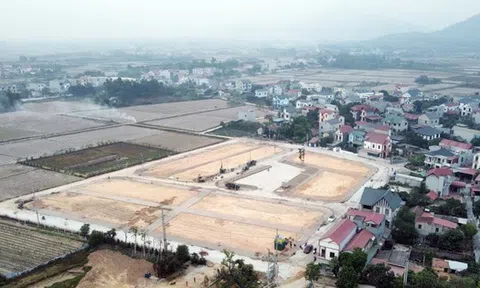 Thủ đoạn ‘tổ lái đất’ đang làm lũng đoạn thị trường bất động sản