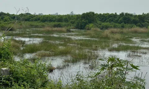 Giá khởi điểm khu đất hơn 4ha ở Vũng Tàu là bao nhiêu?