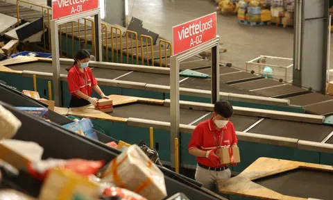 Cổ phiếu Viettel Post giảm sàn sau khi tăng hơn 60% trong 1 tháng, 80% lệnh bán đến từ "Sói già" và "Cá mập"