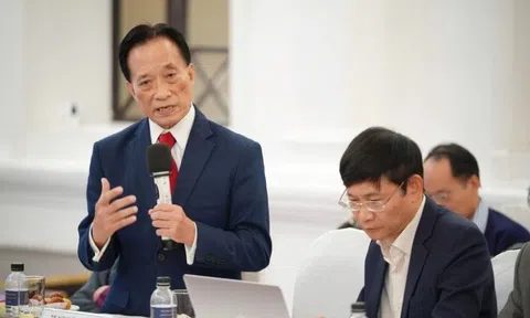 Chuyên gia Nguyễn Trí Hiếu: Thành viên HĐQT độc lập tại nhiều ngân hàng là 'bù nhìn'