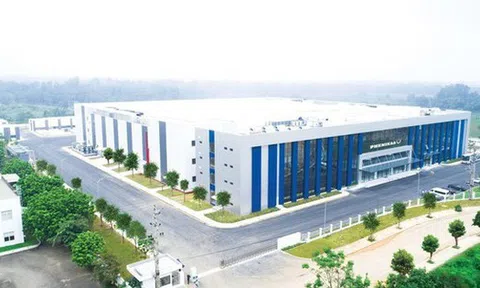 Loạt công ty ráo riết chia cổ tức, cổ đông sắp nhận "mưa" tiền mặt dịp cuối năm