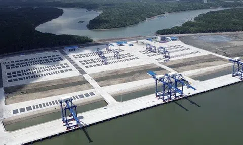 Công an vào cuộc điều tra vụ san lấp trái phép đất rừng phòng hộ ở Đồng Nai