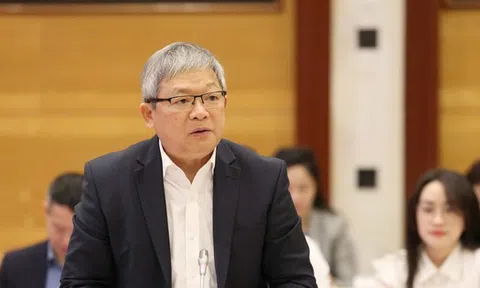 Giám định tài sản 413 dự án liên quan vụ Công ty cây xanh Công Minh