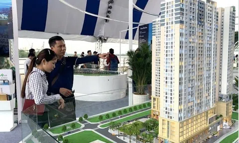 Sớm đề xuất mức thuế cao hơn với người nhiều bất động sản, chậm sử dụng đất, bỏ đất hoang