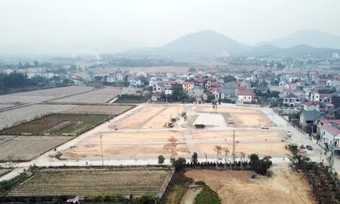 Hà Nội yêu cầu tránh tổ chức đấu giá tại nơi có giá khởi điểm thấp