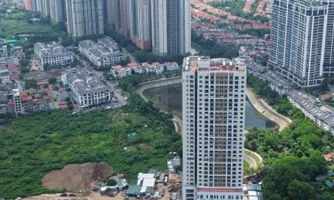 Cuối năm, phân khúc bất động sản nào sẽ hút dòng tiền?