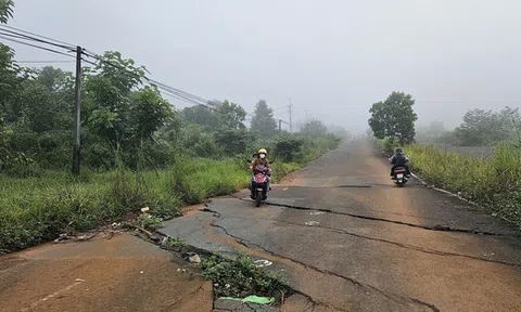 Đường tiền tỷ bỏ hoang gây lãng phí ở phố thị hoa vàng