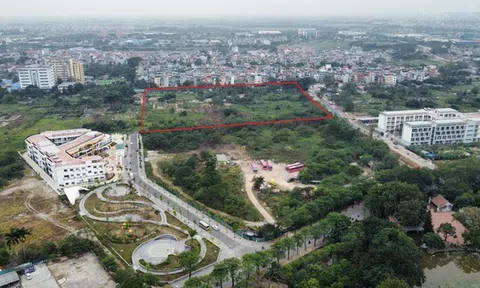 Đấu giá khu đất 4,4 ha làm khu nhà ở thấp tầng ở phường đông dân nhất Thủ đô